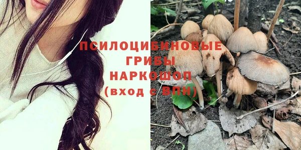 первитин Кукмор