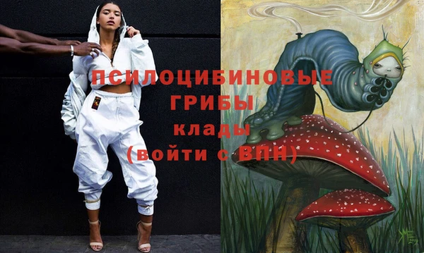 первитин Кукмор