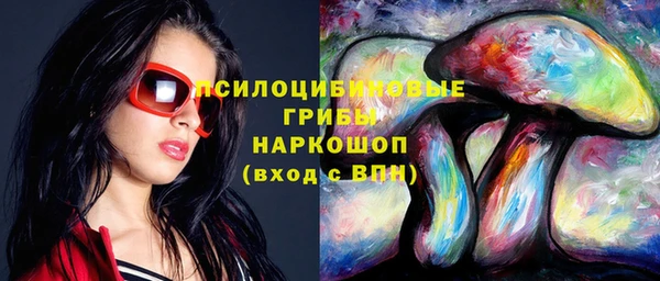 spice Кулебаки