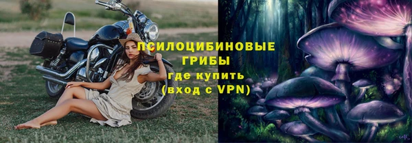 первитин Кукмор